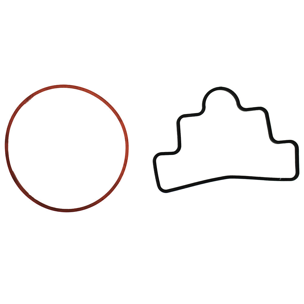  Coleman Powermate / Sanborn Piston / Cylinder Replacement Repair Kit 048-0105(Coleman Powermate Sanborn Piston Cylinder Replacement Repair Kit 048 0105)