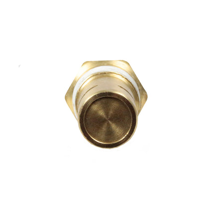  3/8" Male NPT X 3/8" Compression In Tank Check Valve Brass CTLD3838T(3 8 Inlet 3 8 Outlet Mpt Compression Inlet Single Tapped Check Valve)