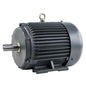  5 HP 3 Phase Electric Motor 1755 RPM 184T Frame 230/460V TEFC PEWWE5-18-184T(5 Hp 3 Phase Electric Motor 1800 Rpm 184t Frame Tefc 230 460 Volt Severe Duty)