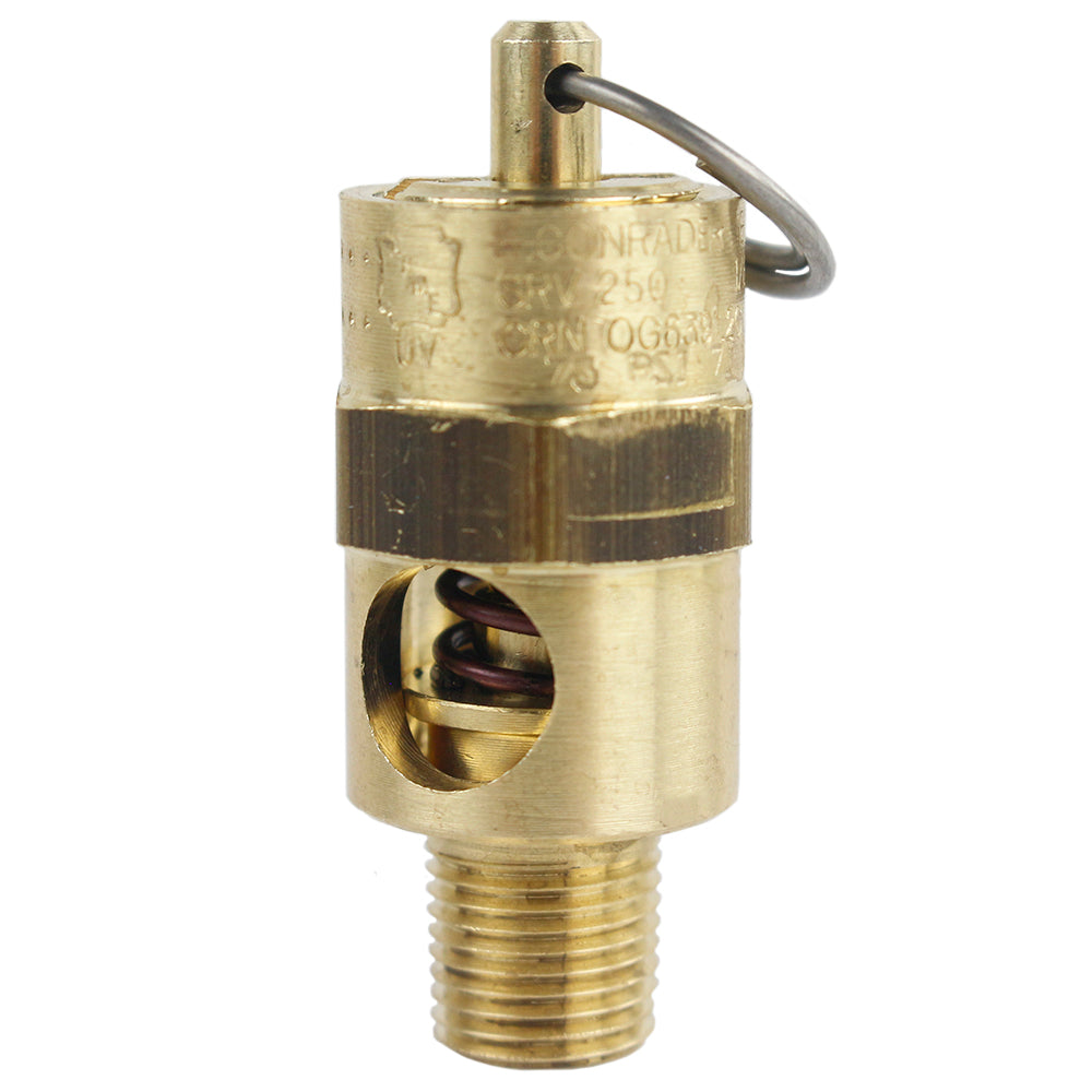  1/8" Inch NPT 75 PSI Air Compressor Safety Relief Pressure Valve Tank Pop Off(1 8 Inch Npt 75 Psi Air Compressor Safety Relief Pressure Valve Tank Pop Off)